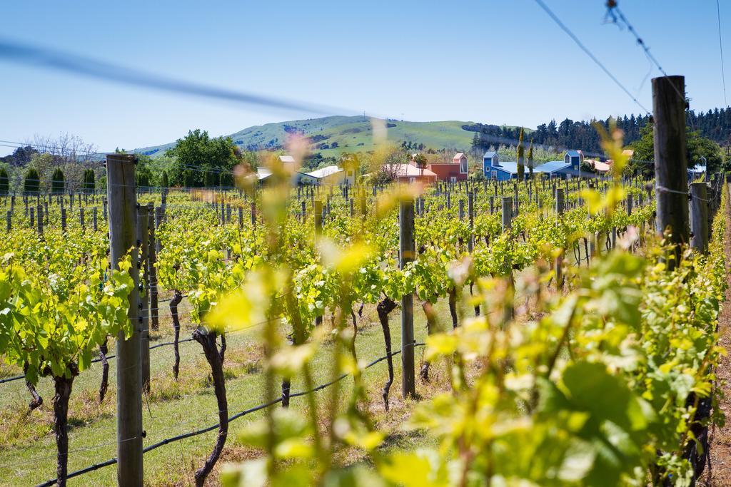 Margrain Vineyard Villas Martinborough Εξωτερικό φωτογραφία