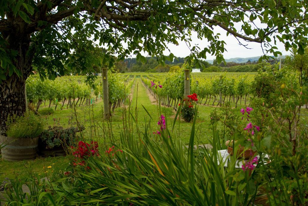 Margrain Vineyard Villas Martinborough Εξωτερικό φωτογραφία